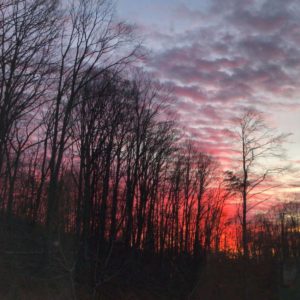 arcadia-sanctury-camp-in-the-woods-upper-balcony (1)